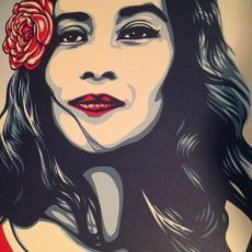 New free prints- Shepard Fairey?!? New free prints- Shepard Fairey?!?